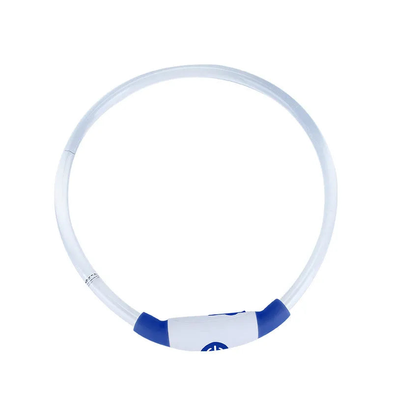 USB rechargeable LED dog collar glowing in dark with adjustable strap