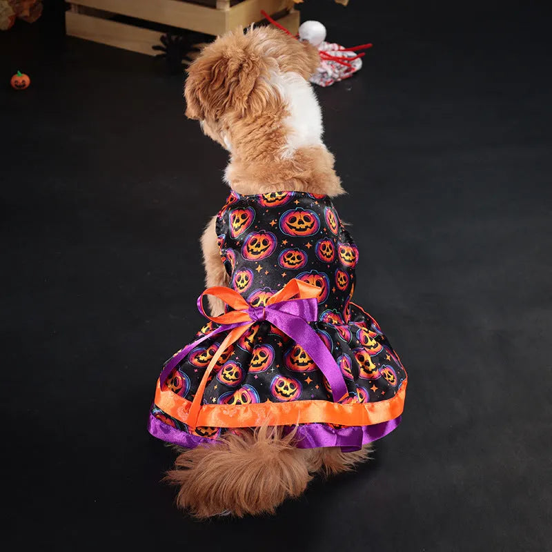 Halloween dog skirt with colourful pumpkin or skull print on white background