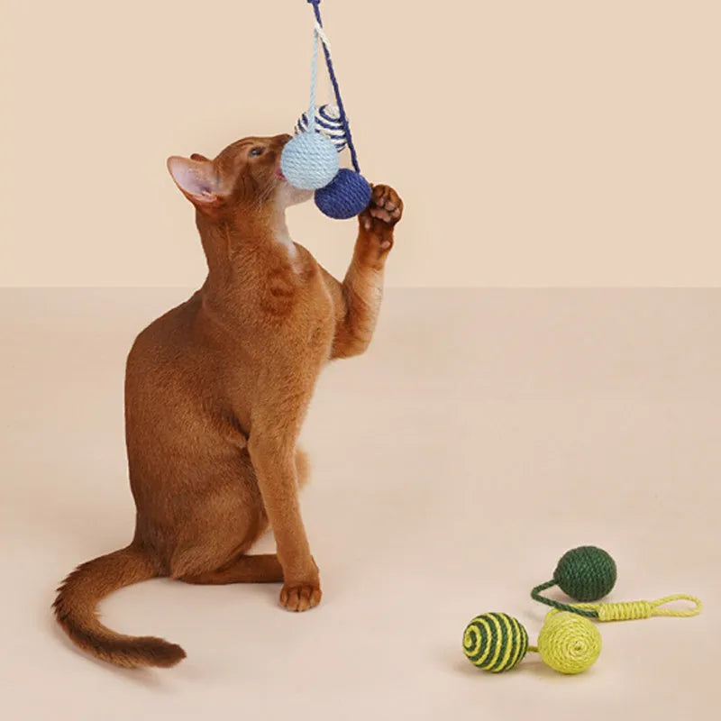 Set of three cat toys: a teaser stick, a catnip ball, and a self-play wand on a blue background.