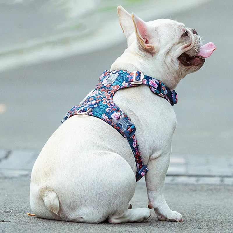 Floral print cotton dog chest harness on a dog, showing adjustable straps and pull-resistant design.