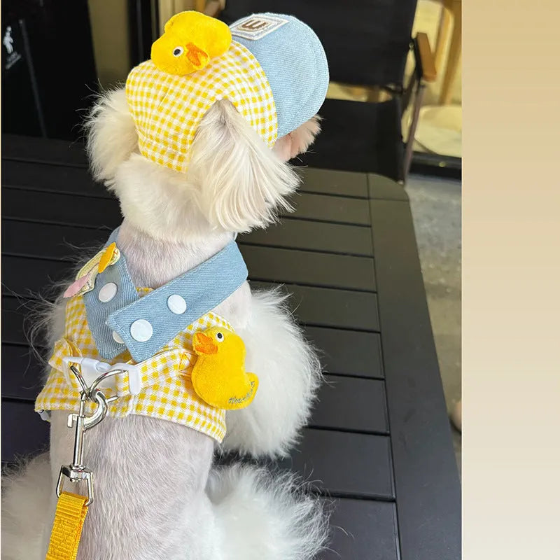 Small pet wearing a cute hat and three-piece outfit with a matching dog harness and wire rope leash set.