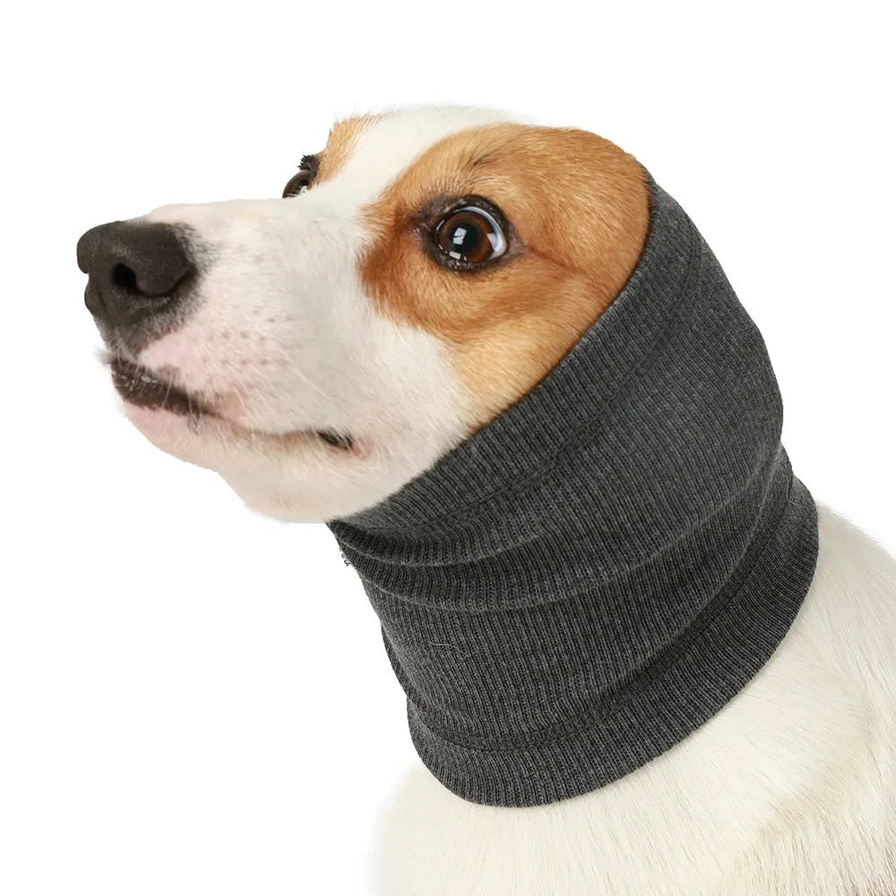 Blue or grey polyester dog headband scarf shown on canine model with S M L sizing options