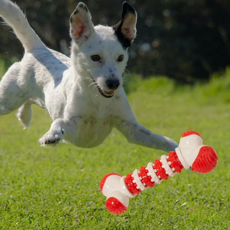 Blue bone-shaped rubber dog toy for small breeds with a treat holder in the centre
