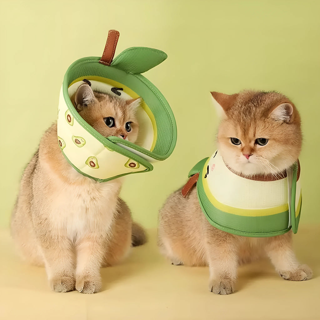 Soft grey EPE cat cone collar with adjustable white strap for post-surgery recovery