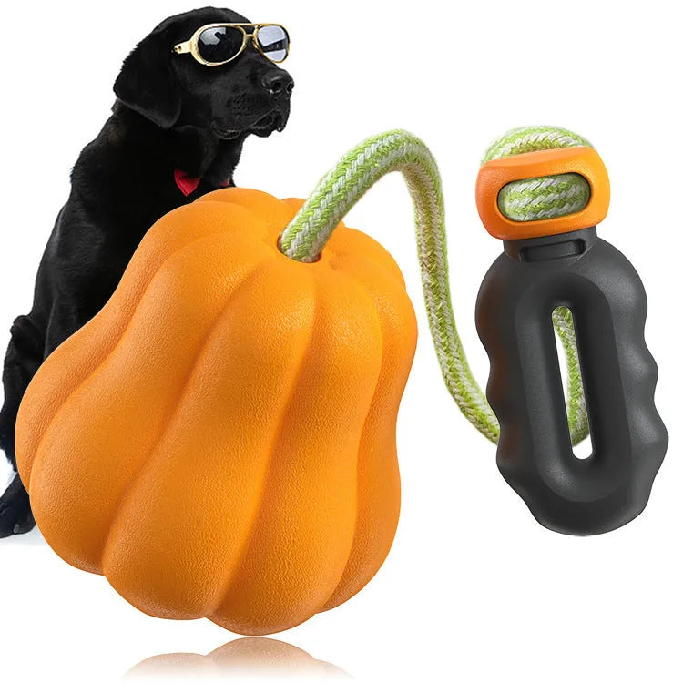 Pumpkin orange plastic molar-shaped dog chew toy with a blue rope attached for throwing.
