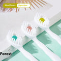 Box of Bead disposable toothbrushes showing mint, peach, and plum green tea flavour options.