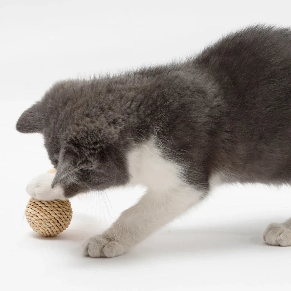 Two cat toys: rattan ball and faux feather bell ball with measurements 3.5cm and 4x9cm