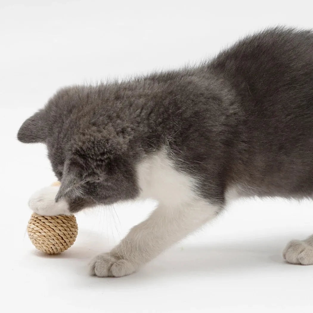 Two cat toys: rattan ball and faux feather bell ball with measurements 3.5cm and 4x9cm