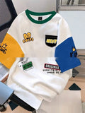 Men's loose-fit casual t-shirt with printed letter design in a trendy colour mix, short sleeves.