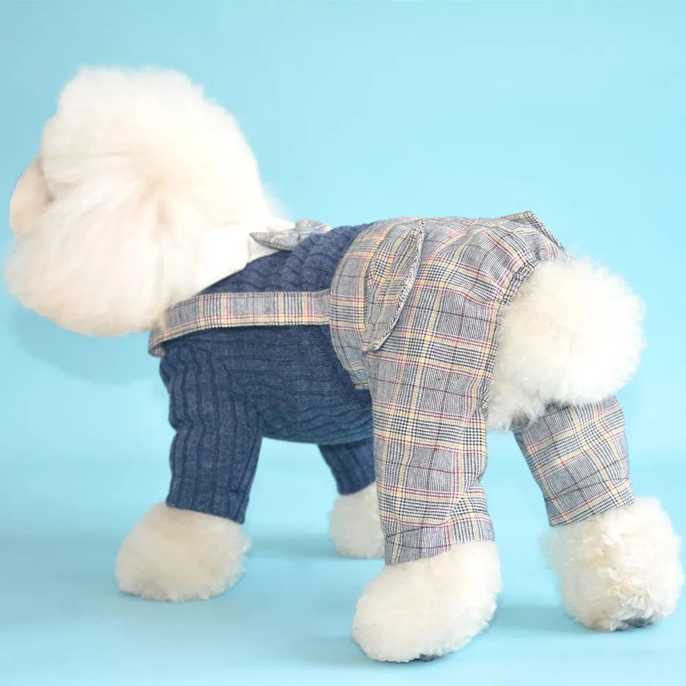 Dog wearing cotton shirt in orange or dark blue with collar and button design