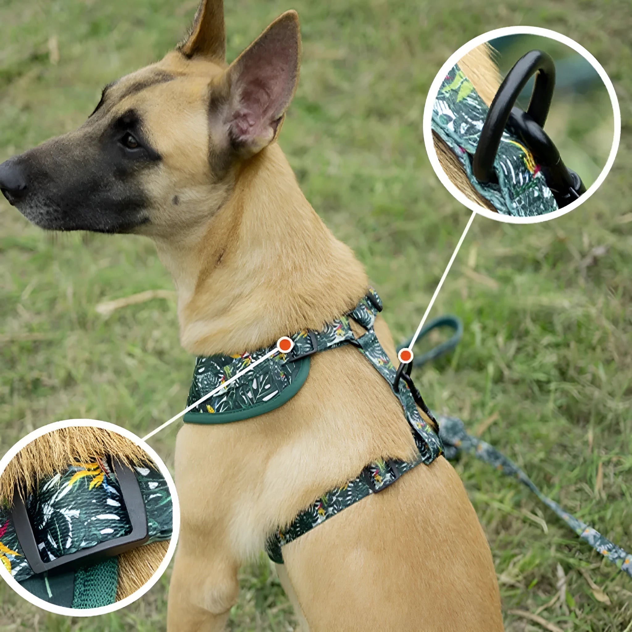 Six-piece adjustable pet harness set with haulage rope, collar, waste bag, bow tie, and triangular scarf accessories