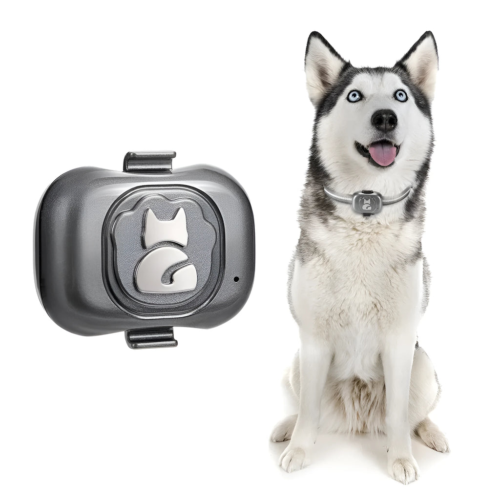 Black pet GPS locator with hanging rope for dog or cat tracking