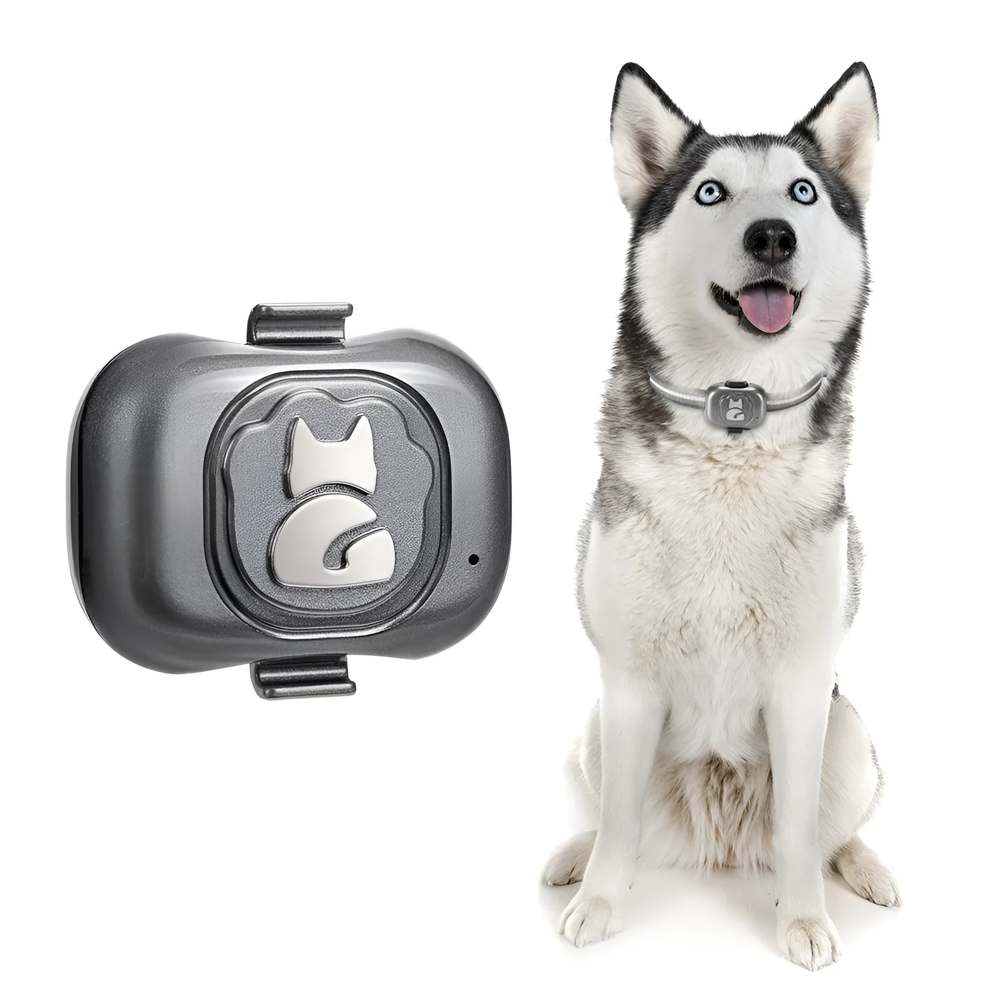 Black pet GPS locator with hanging rope for dog or cat tracking