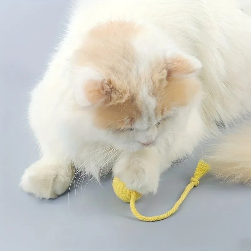 Colourful cat toy ball with rope and bell in green pink purple yellow options