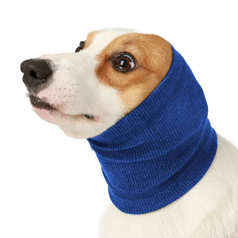 Blue or grey polyester dog headband scarf shown on canine model with S M L sizing options