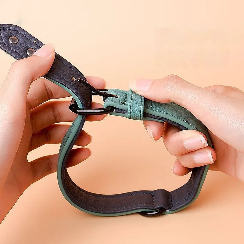 Adjustable anti-loss dog collar in five colour options with metal buckle and double-layer construction