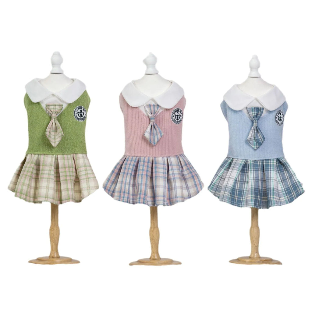 A small dog wearing a pink tartan plaid skirt in a Princess style.