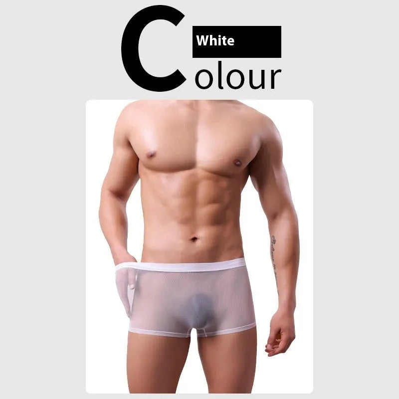 Men's mesh boxer briefs in thin sheer polyester fabric showing low waist design and breathable mesh texture