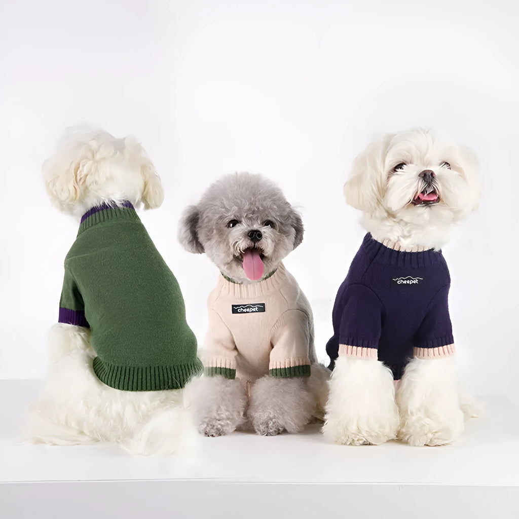 British style two-leg pet sweater in wool for dogs and cats during autumn and winter