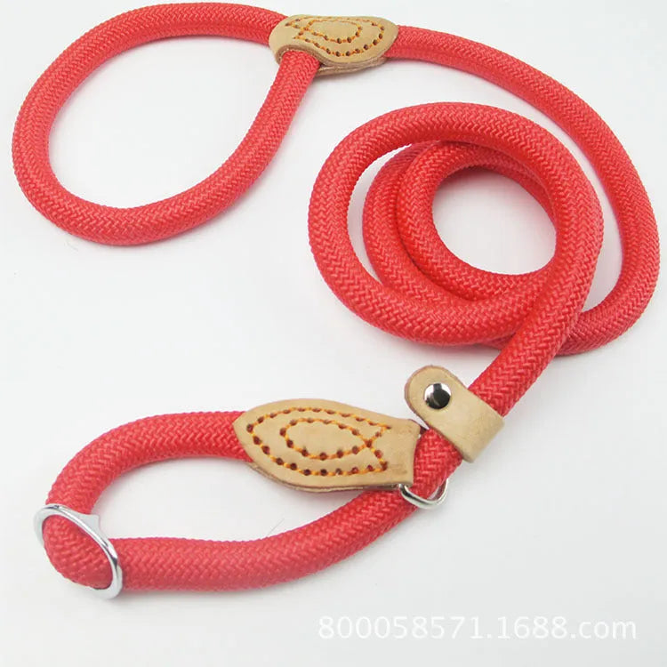 Brown nylon dog lead with P chain section and hand holding rope, 2.1 metres long