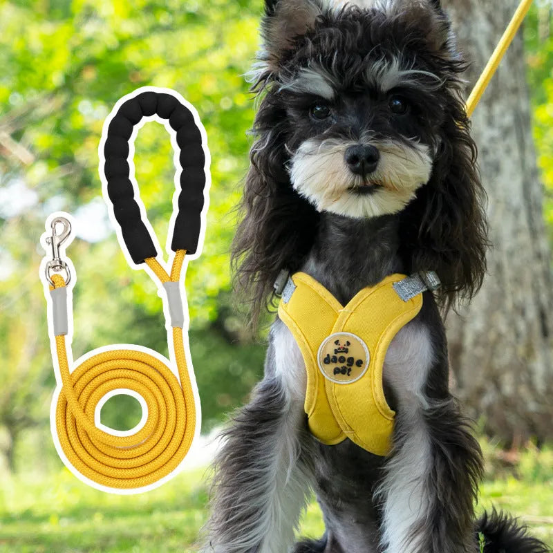 Blue polyester dog walking vest and leash set shown on a small dog