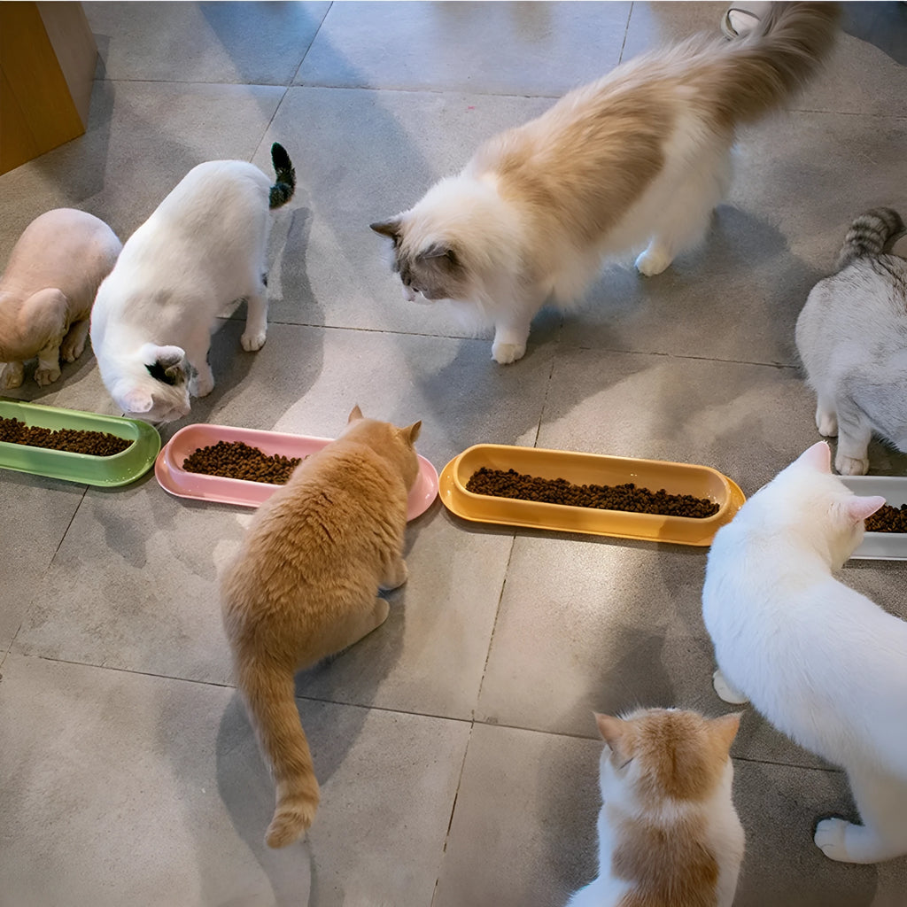 Green leakproof dual pet bowl feeder with non-slip base for dogs and cats.