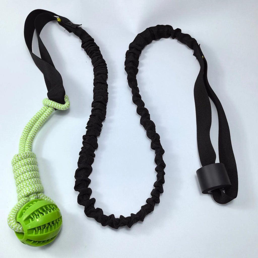 Green cotton tug rope dog toy with knotted construction for interactive play