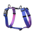 A gradient colour polyester dog harness shown in one of four colour options: purple, blue sea, neon, or green.