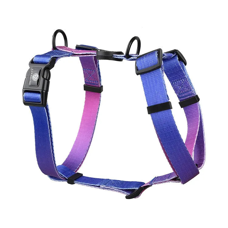 A gradient colour polyester dog harness shown in one of four colour options: purple, blue sea, neon, or green.