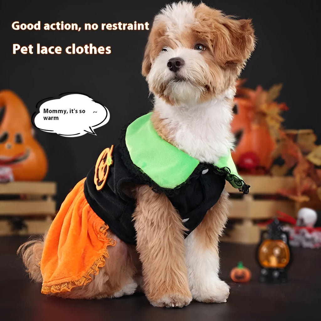 Halloween pumpkin skirt pet costume for small dog or cat in crystal velvet material