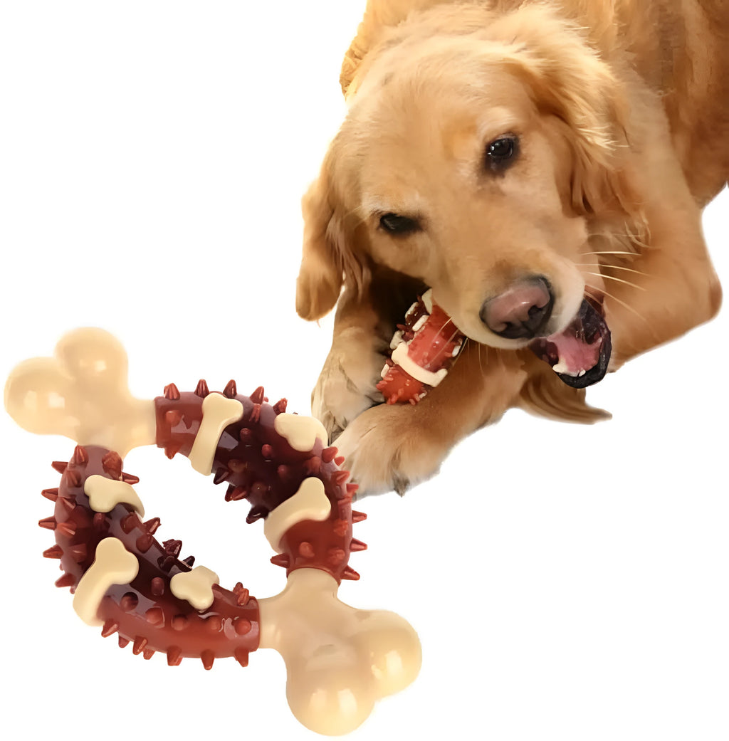 Bone-shaped natural rubber dog chew toy for teeth grinding, shown in two sizes.