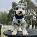 Blue and grey white slim-fitting pet sweater with reflective letters for dogs and cats