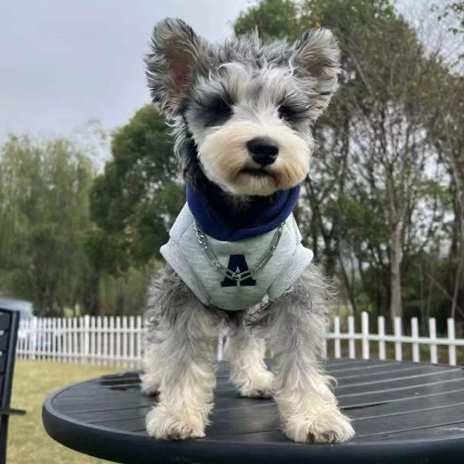 Blue and grey white slim-fitting pet sweater with reflective letters for dogs and cats