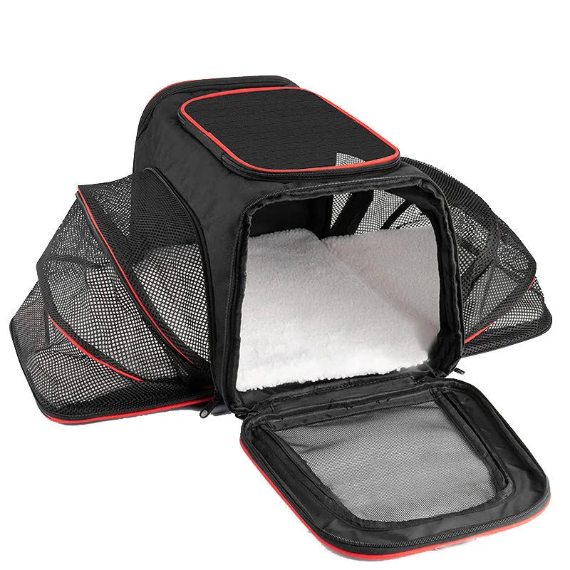 Cat carrier bag in black with red piping made from 600D cation fabric showing portable design