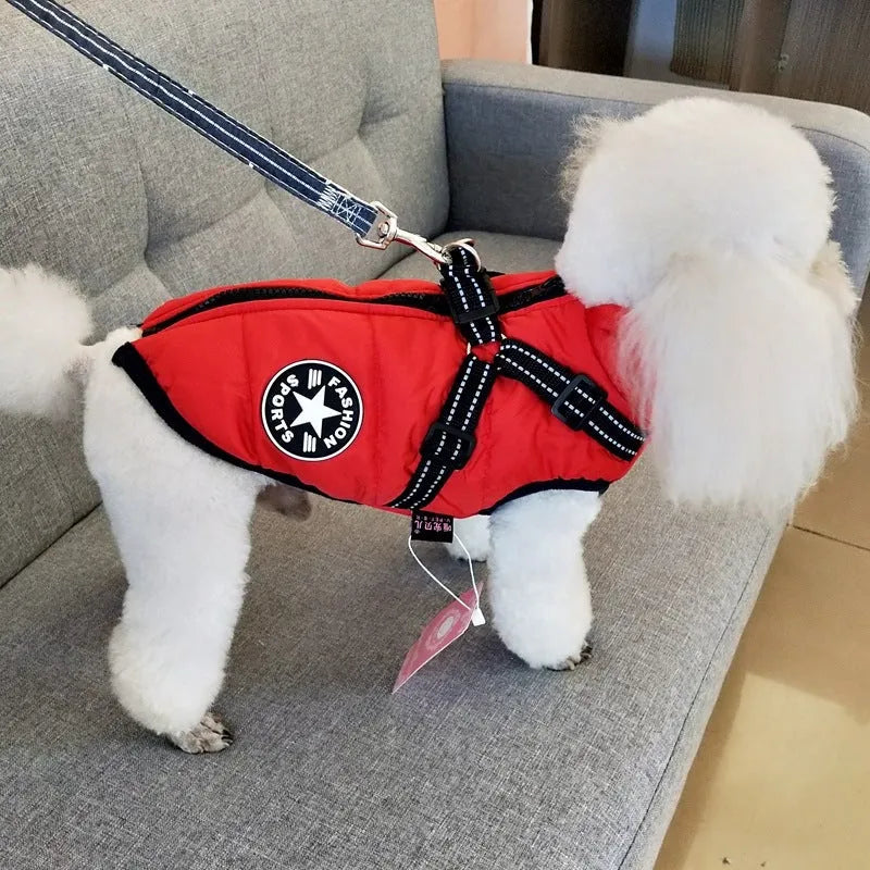 Waterproof dog coat in rain silk fabric with harness hole for lead attachment