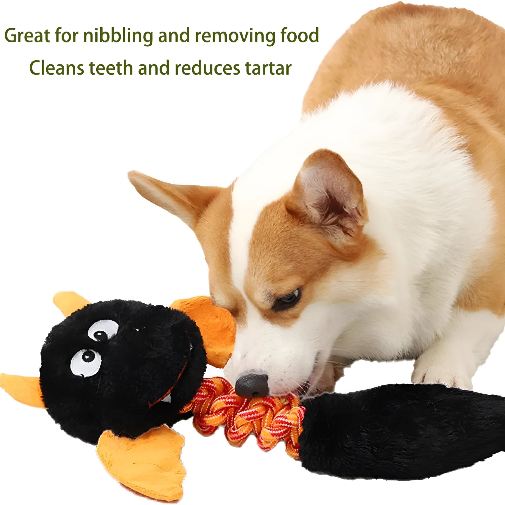 44cm plush dog toy with squeaker and rattle sounds in black, green, or red colours for large dogs