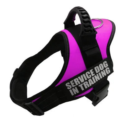 Adjustable reflective dog harness with handle and D-ring on blue background showing size chart