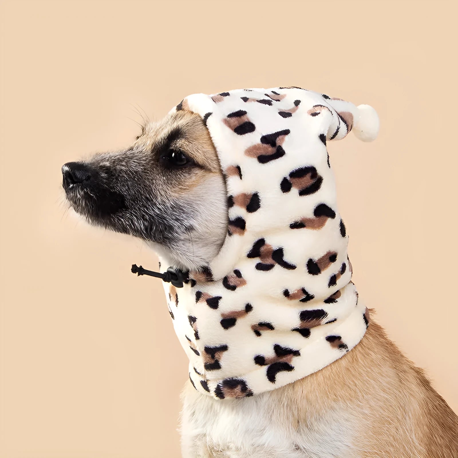 A dog or cat wearing a soft cloth bear headdress hat with upright rabbit ears, in leopard print colour.