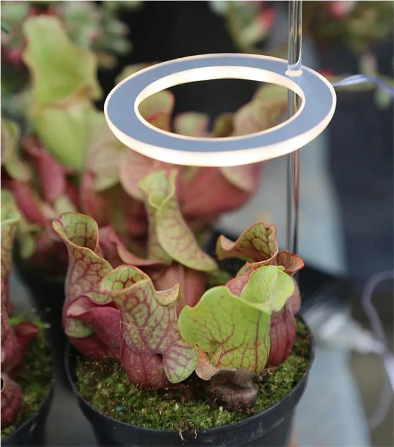 USB LED full spectrum grow light with transparent PC aluminium housing and acrylic stick
