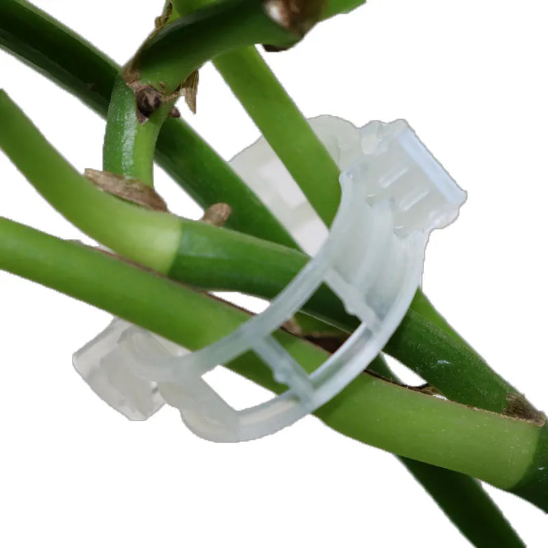 50 plastic garden grafting clips for tomato plant and vine support