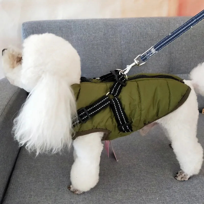Waterproof dog coat in rain silk fabric with harness hole for lead attachment