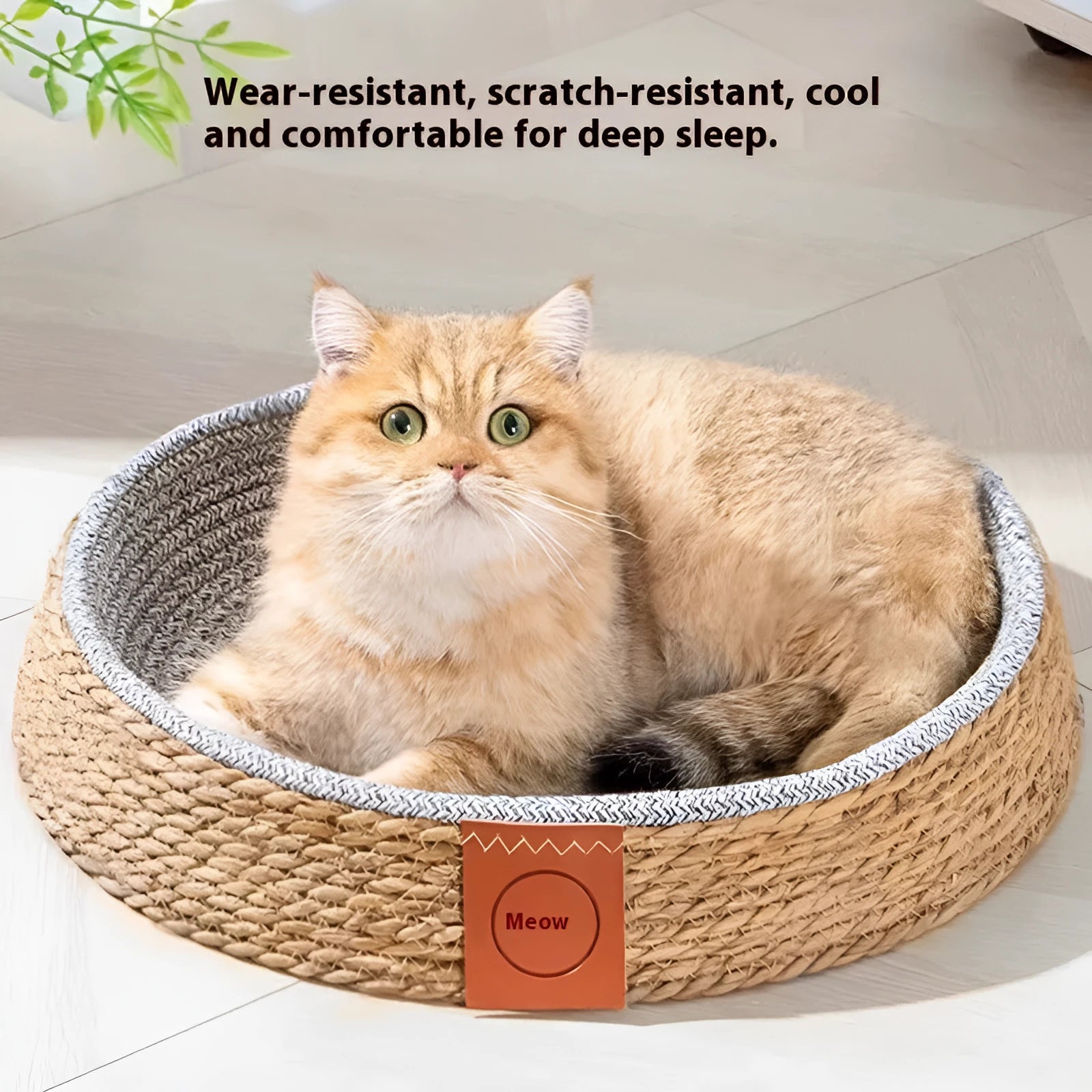 Rattan cat nest bed for pets available in four different sizes from small to extra large
