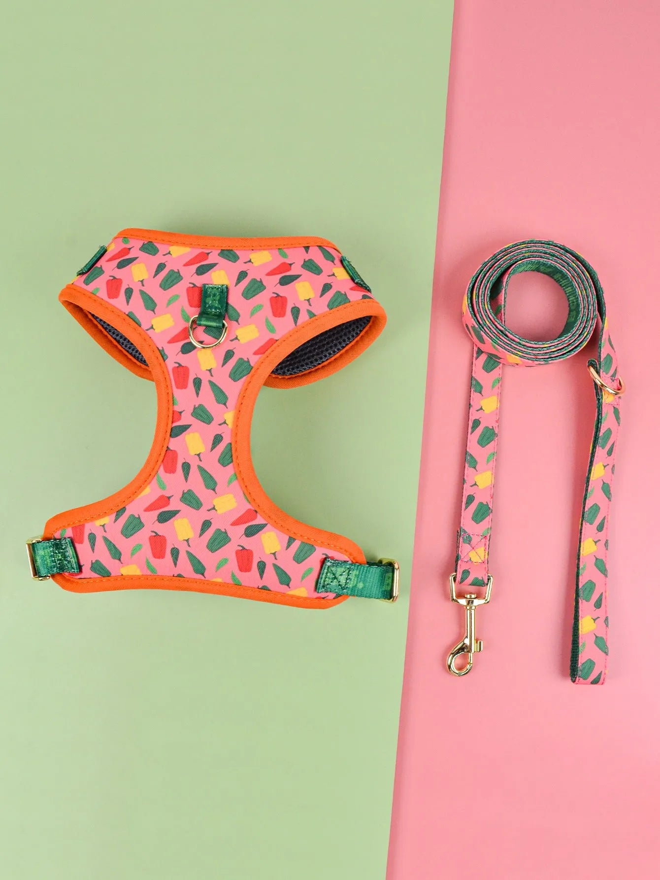 Colourful pet haulage rope with chest-back traction belt suit for medium and large dogs