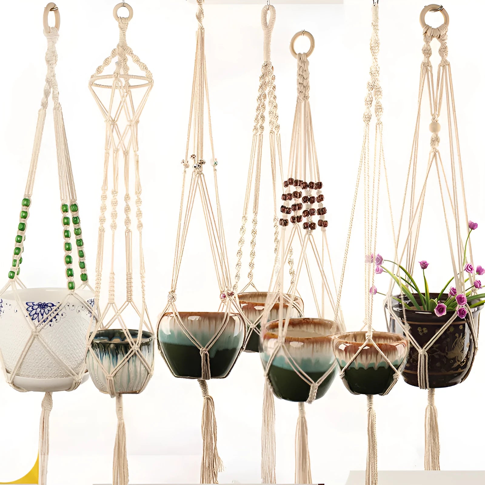 Natural cotton rope woven wall hanging planter holding a small green plant.