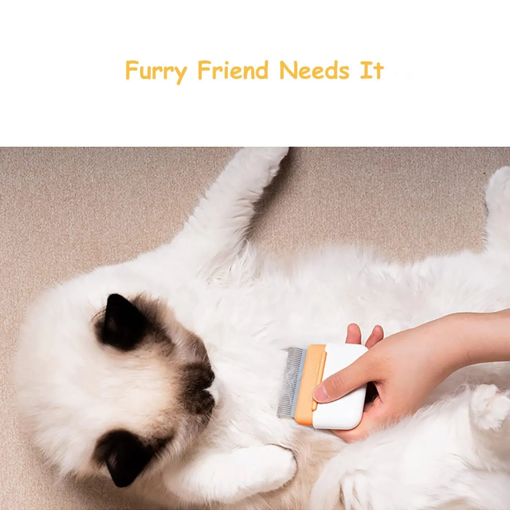 Blue double-sided pet grooming brush with stainless steel comb teeth for cats and dogs