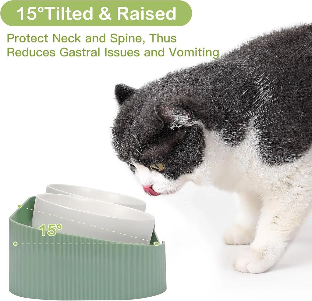 Ceramic elevated cat bowls with 15° tilted stand in green, white, and yellow colour options