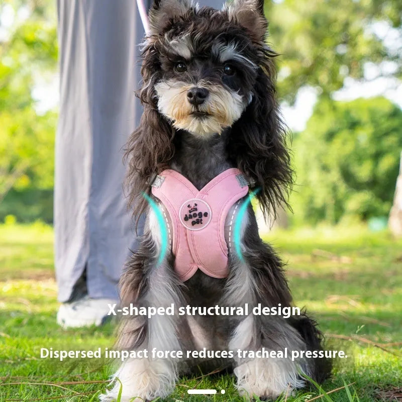 Blue polyester dog walking vest and leash set shown on a small dog