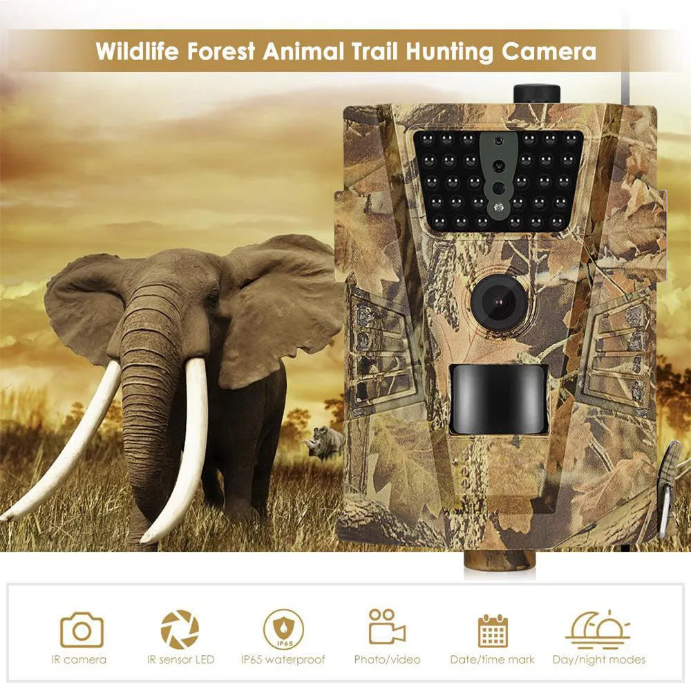 Orchard surveillance anti-theft camera with 12MP sensor and night vision LEDs mounted on a tree trunk