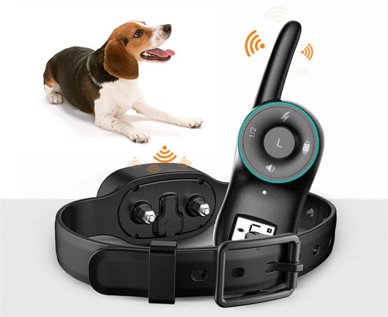 Waterproof dog electric training collar with remote control in black or orange colour