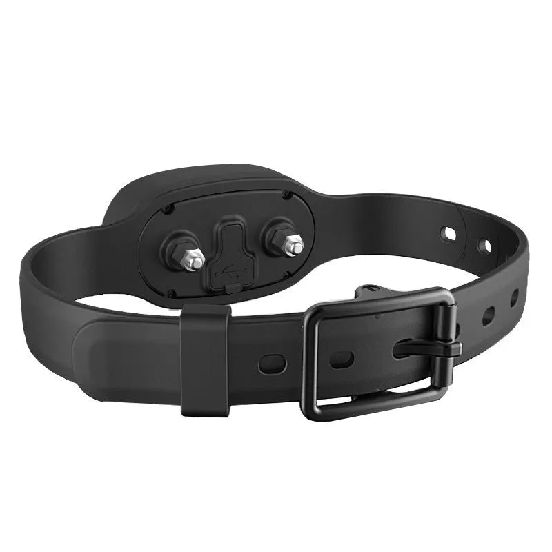 Waterproof dog electric training collar with remote control in black or orange colour